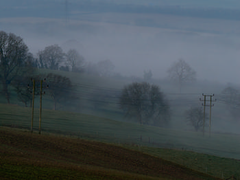 Misty wires This rural landscape photograph captures power lines cutting across rolling fields at dawn in early spring. Mist hangs low over the scene, softening the outlines of numerous trees scattered throughout the countryside. The early morning light and seasonal haze combine to emphasize the tranquil atmosphere typical of rural areas. The presence of power poles and wires forms the main subject, drawing attention to the intersection of natural and man-made elements in this misty spring dawn landscape.
